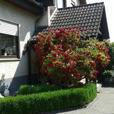 Ferienwohnung Schmetterling Fritzlar Bagian luar foto