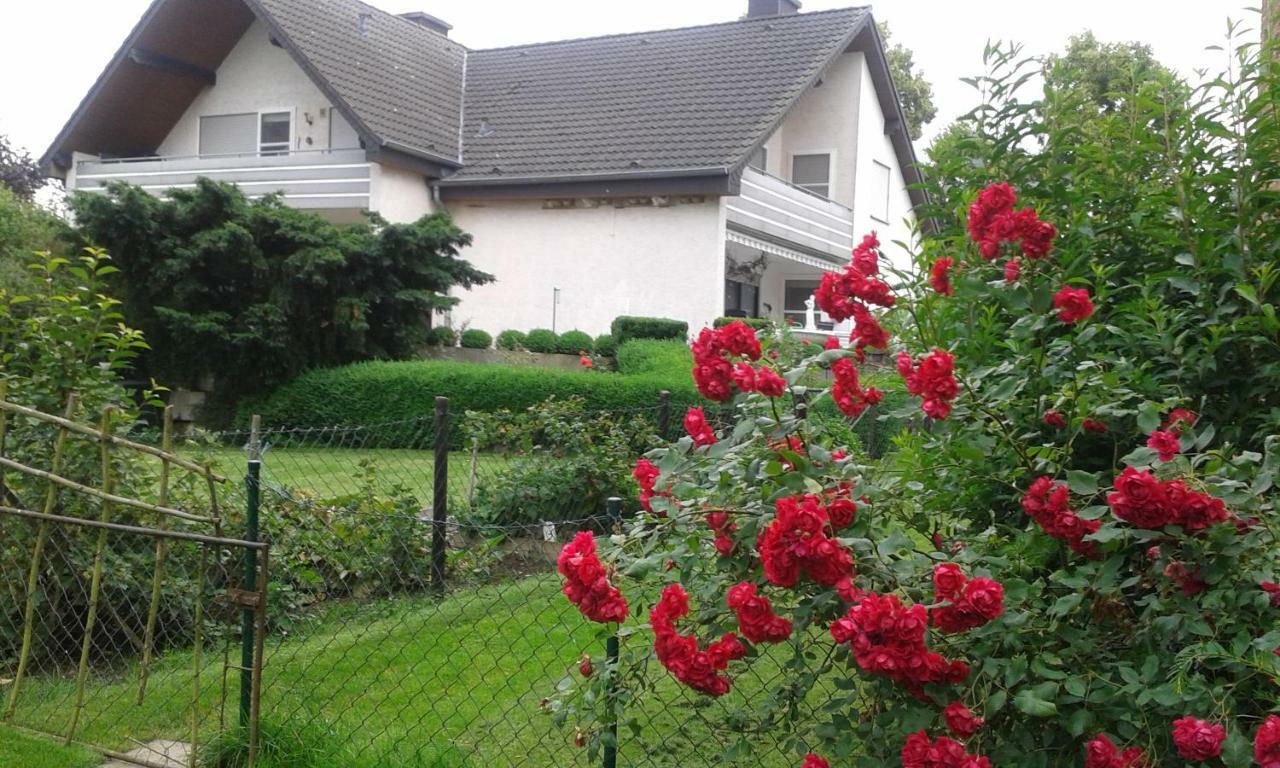 Ferienwohnung Schmetterling Fritzlar Bagian luar foto